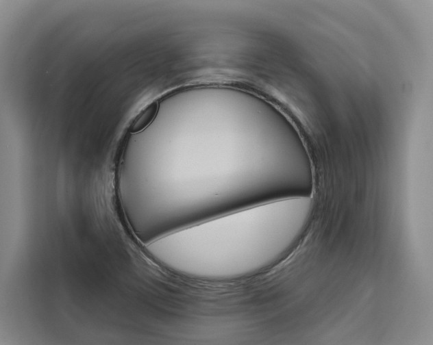 X0000111441459200907131011