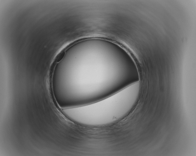 X0000111441460200907131011