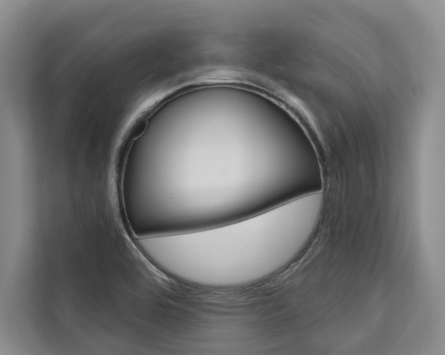 X0000111441464200907131011