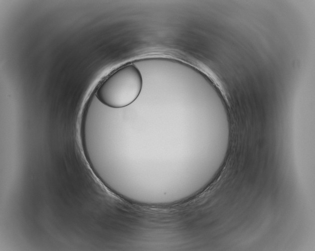 X0000111441472200907131011