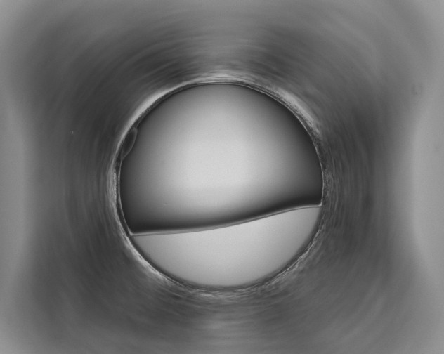 X0000111441476200907131011