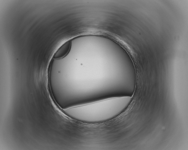 X0000111441479200907131011