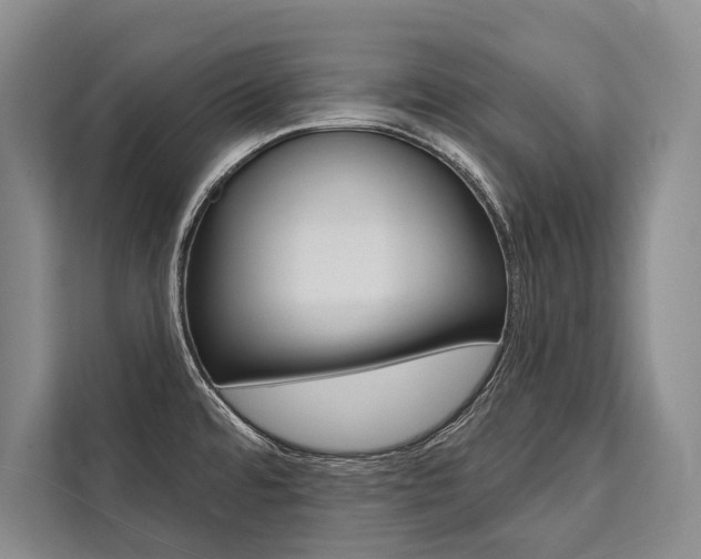 X0000111441480200907131011