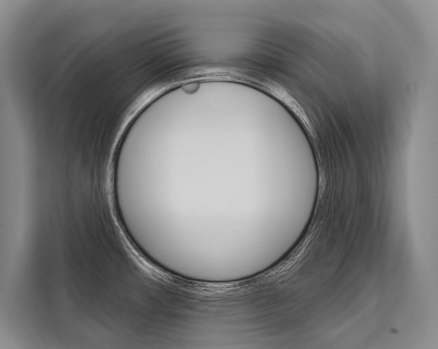 X0000111441482200907131011
