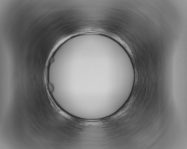 X0000111441486200907131010