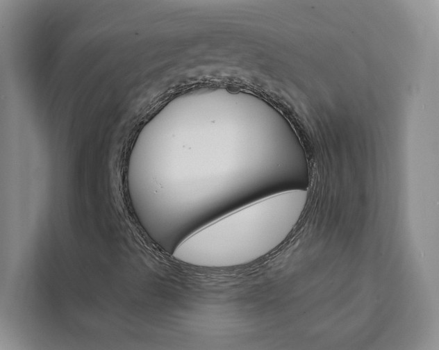 X0000111441489200907131010