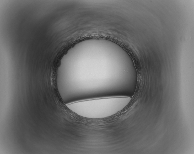X0000111441490200907131010