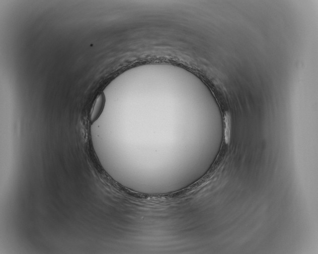 X0000111441491200907131010