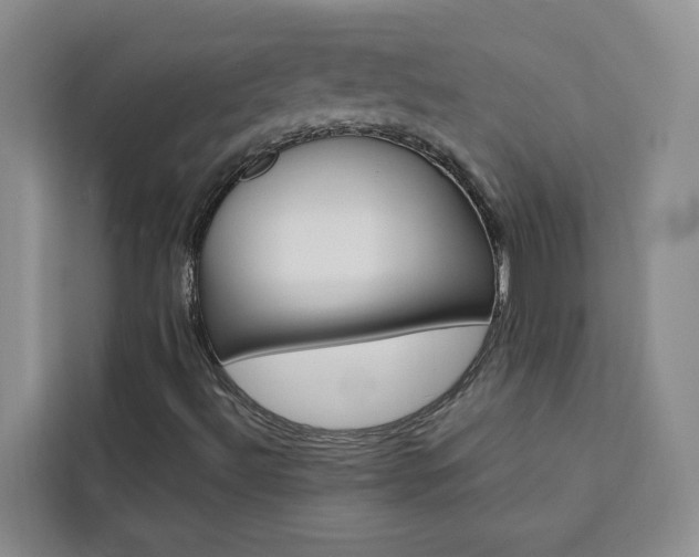 X0000111441492200907131010
