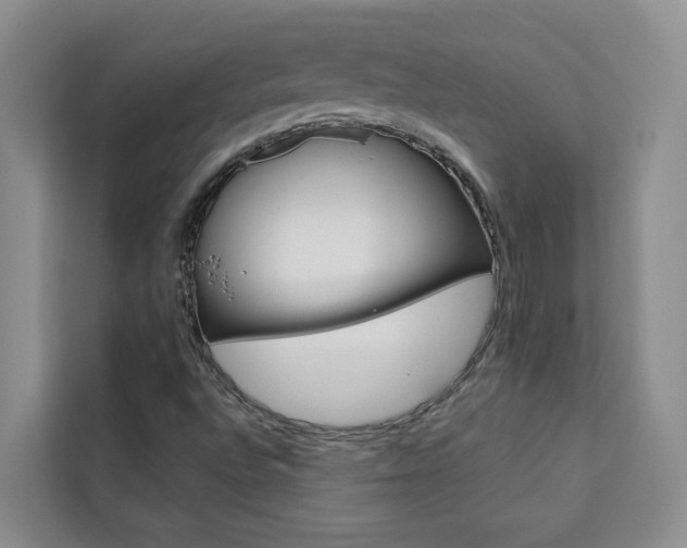 X0000111441496200907131010