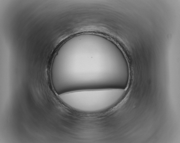 X0000111441497200907131010