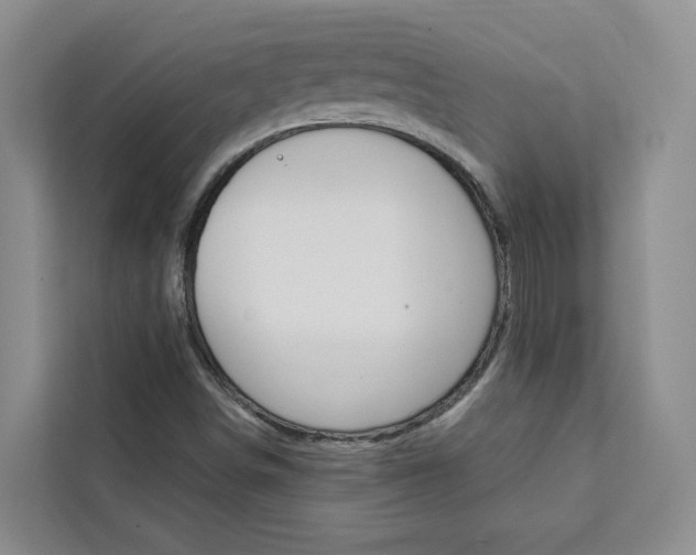X0000111441498200907131010