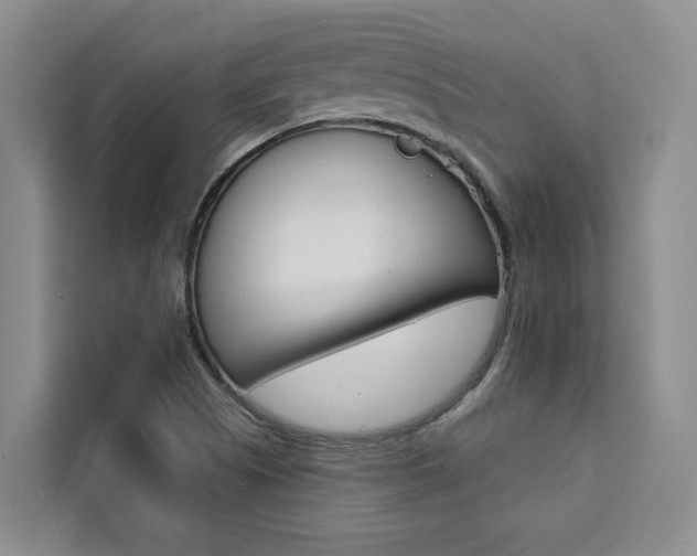 X0000111441505200907131010