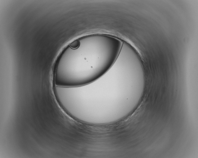 X0000111441508200907131010