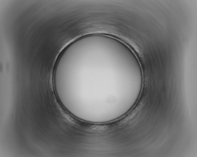 X0000111441513200907131010