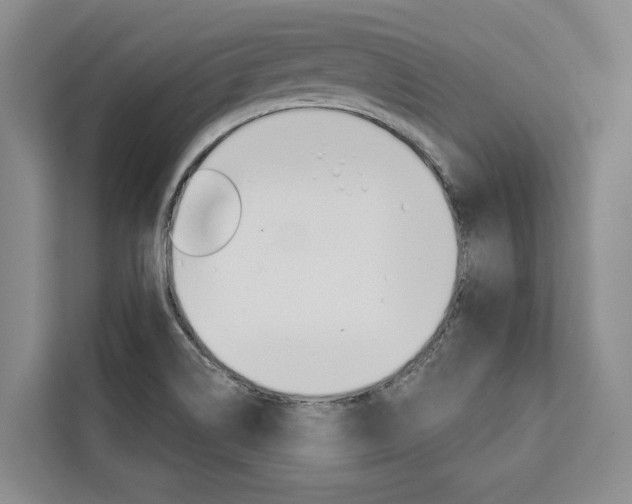 X0000111441514200907131010