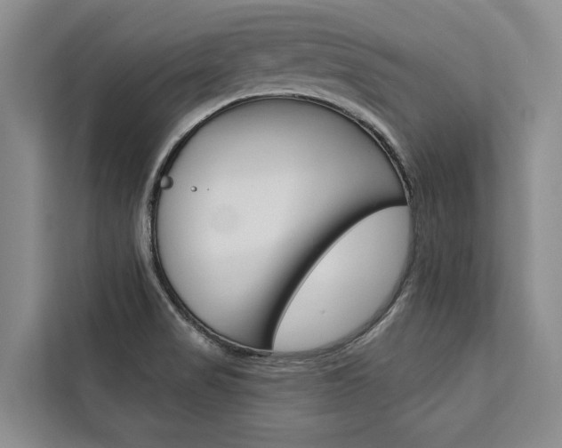 X0000111441517200907131010