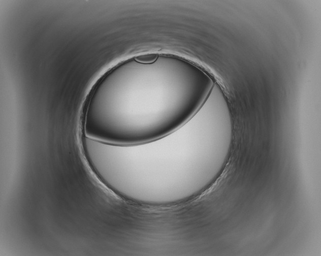 X0000111441518200907131010