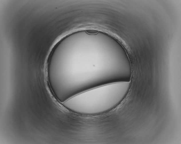 X0000111441522200907131010