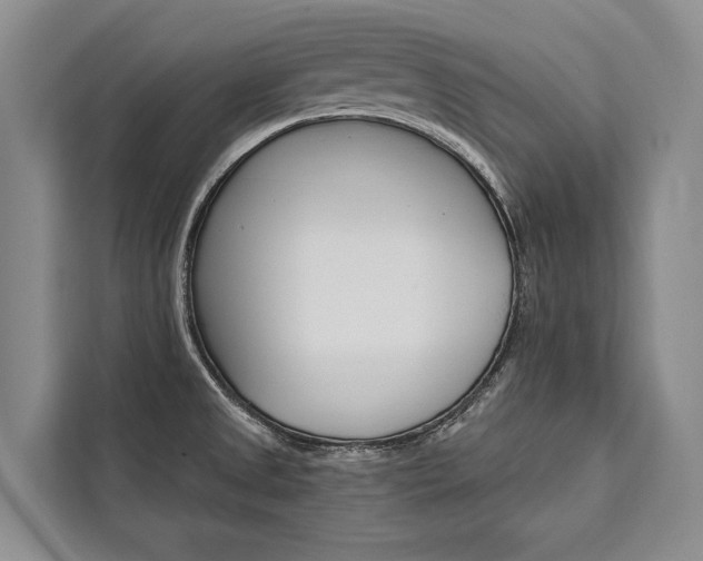 X0000111441525200907131010