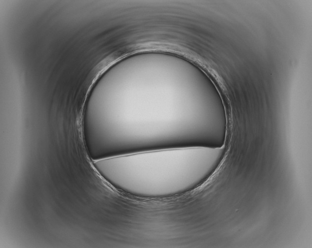 X0000111441529200907131010