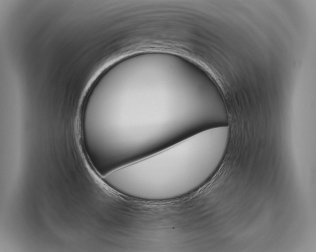 X0000111441531200907131010
