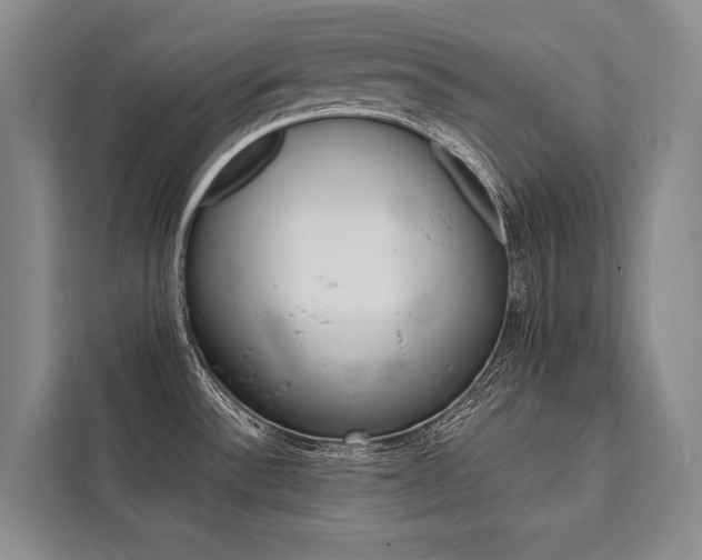 X0000111441532200907131010