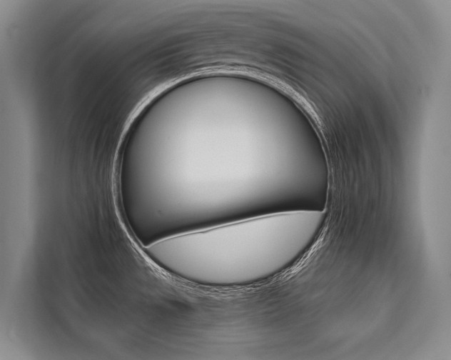 X0000111441533200907131010