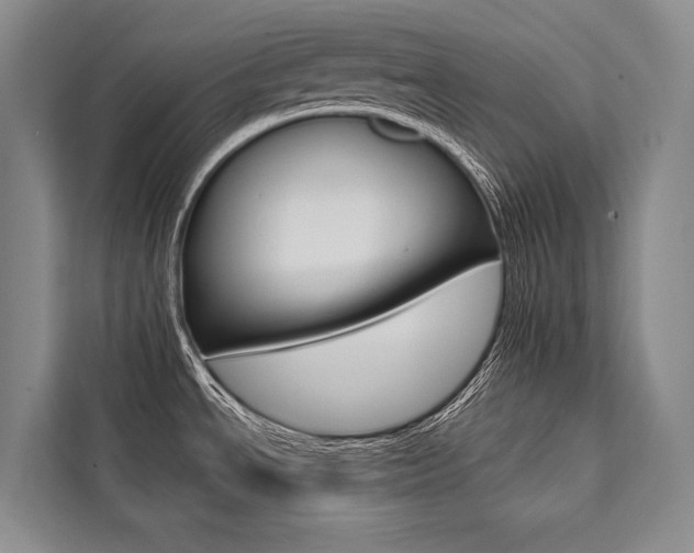 X0000111441534200907131010