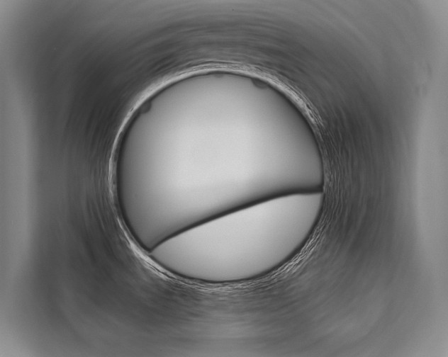 X0000111441535200907131010