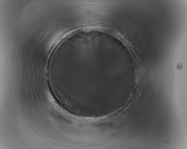 X0000111440002200907131317