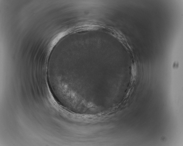 X0000111440003200907131317