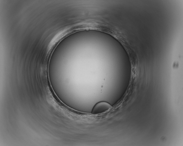 X0000111440004200907131317