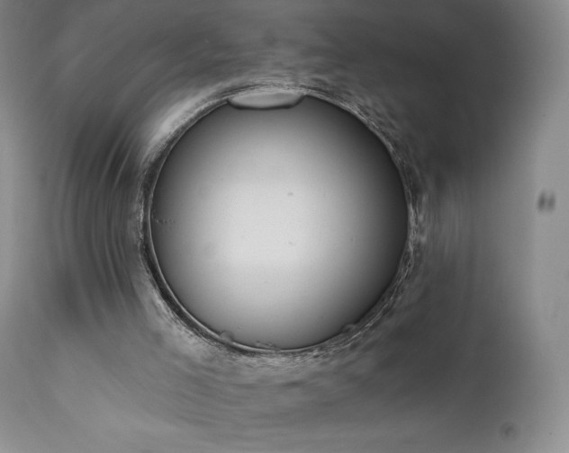 X0000111440005200907131317