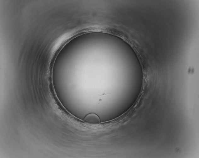 X0000111440006200907131317