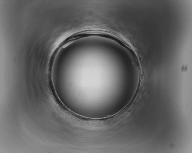 X0000111440008200907131316