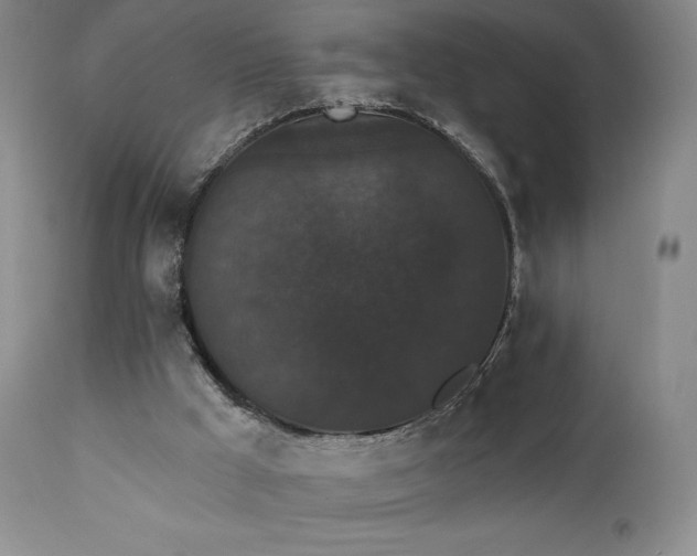 X0000111440009200907131316