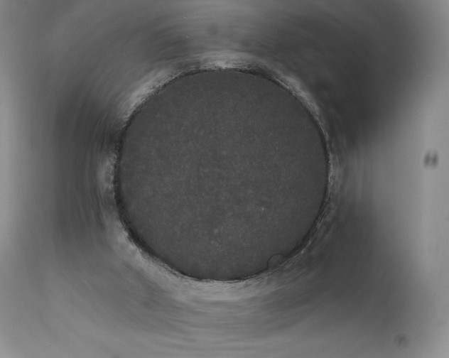 X0000111440010200907131316