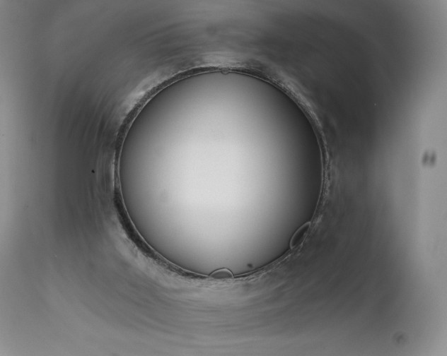 X0000111440011200907131316