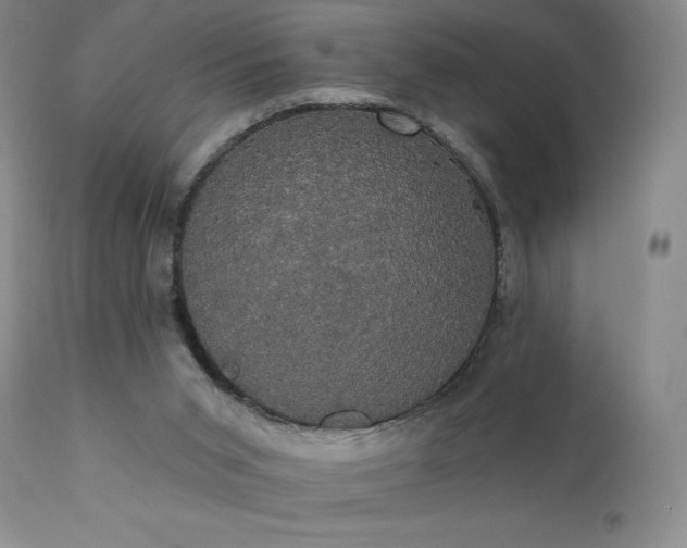 X0000111440015200907131316
