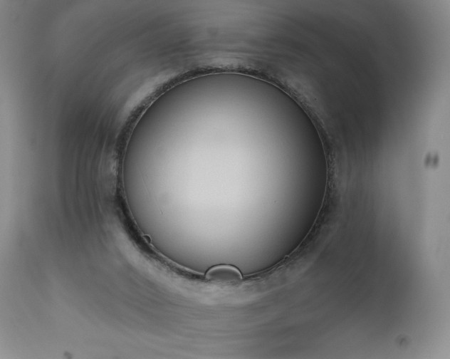X0000111440016200907131316