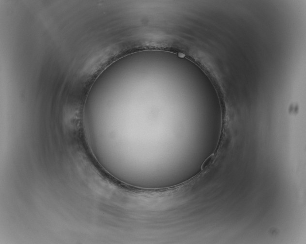 X0000111440017200907131316