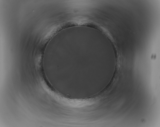 X0000111440018200907131316