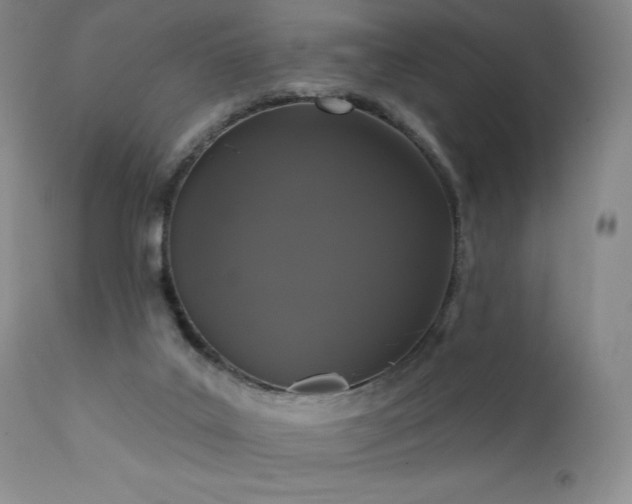 X0000111440019200907131316
