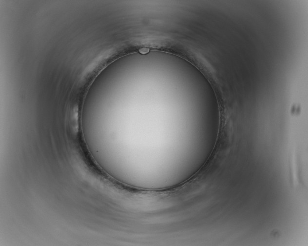 X0000111440020200907131316