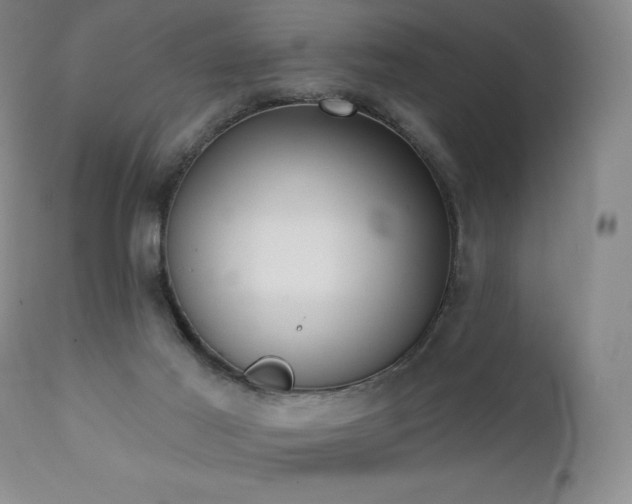 X0000111440021200907131316