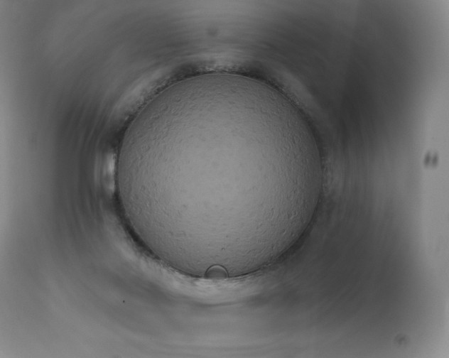 X0000111440022200907131316