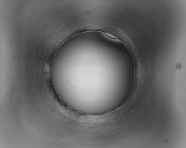 X0000111440025200907131316