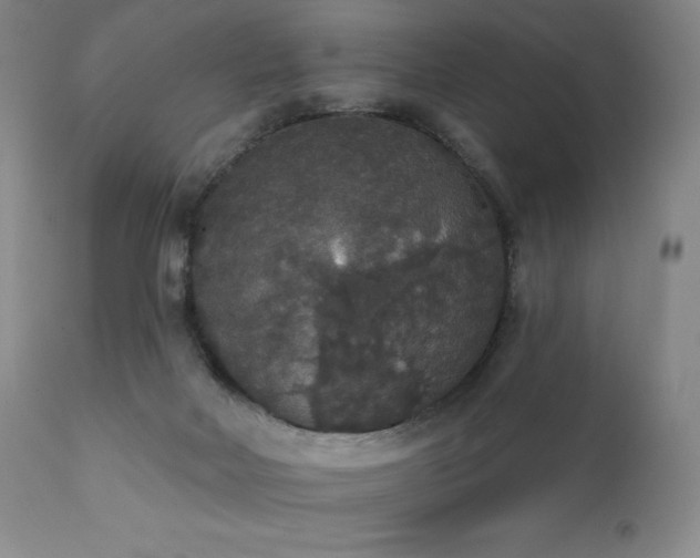 X0000111440026200907131316