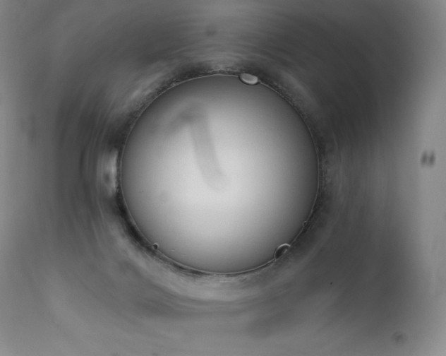 X0000111440028200907131316